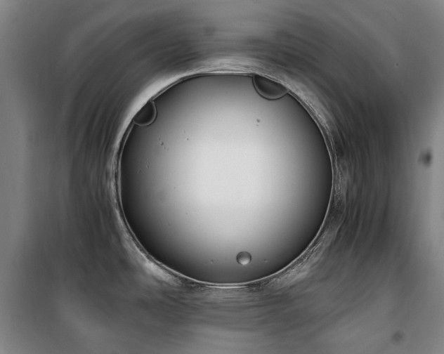 X0000100381486200806061207