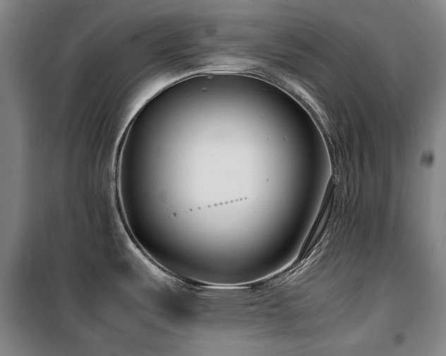 X0000100381487200806061207