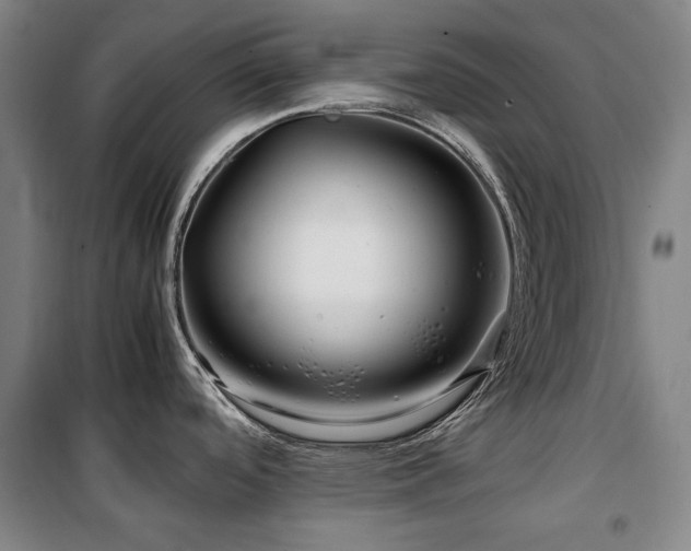 X0000100381488200806061207