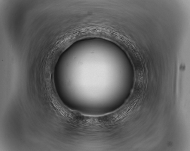 X0000100381489200806061206