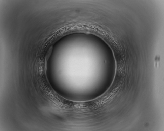 X0000100381490200806061206