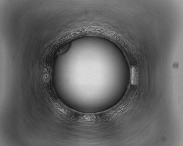 X0000100381491200806061206