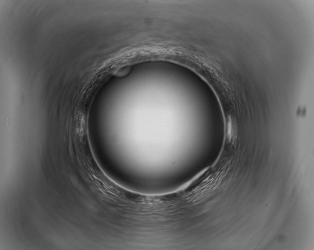 X0000100381492200806061206