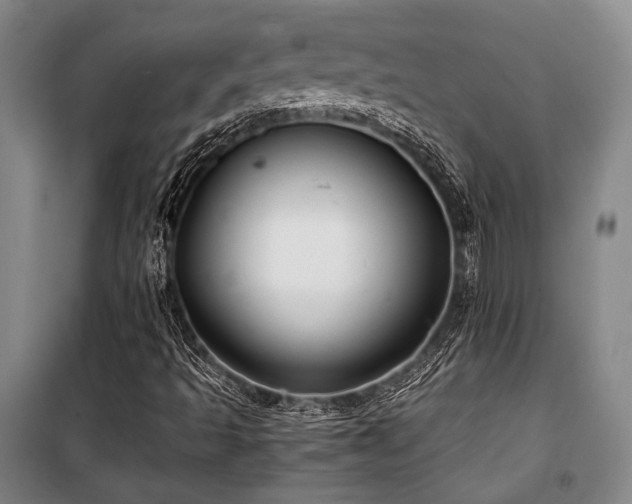 X0000100381493200806061206