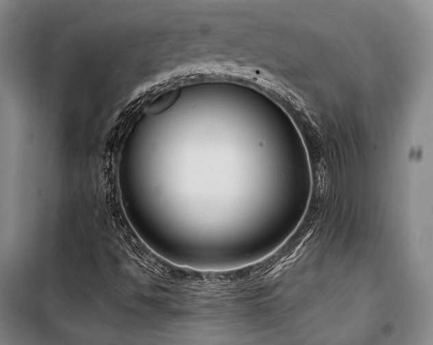 X0000100381494200806061206