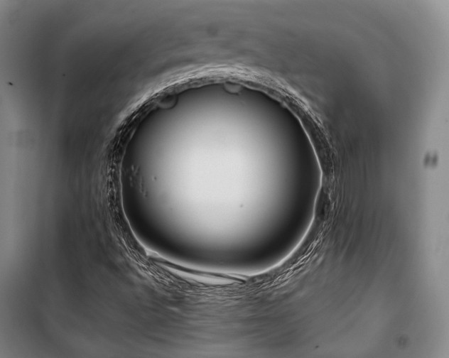 X0000100381496200806061206