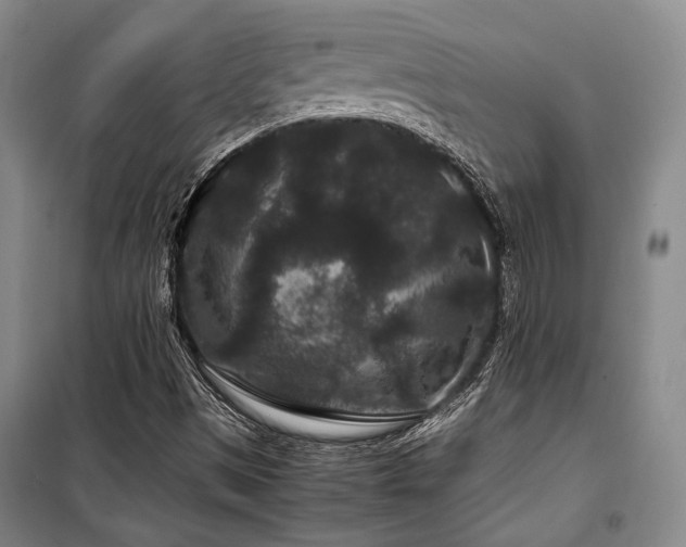 X0000100381497200806061206