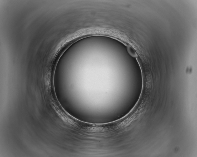 X0000100381499200806061206