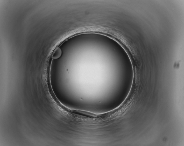X0000100381500200806061206