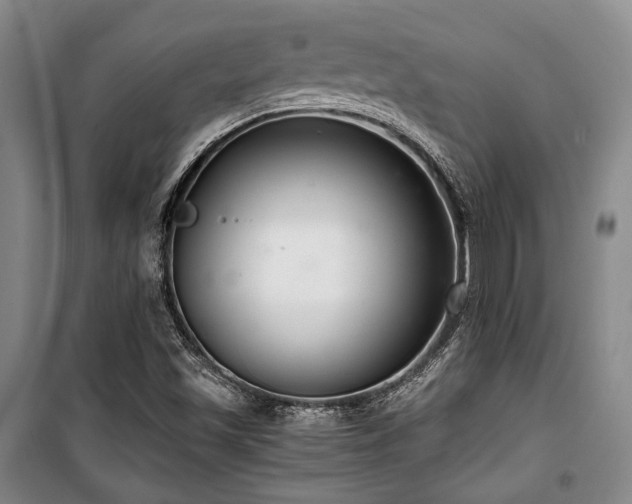 X0000100381501200806061206
