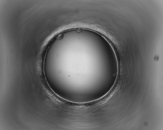 X0000100381502200806061206