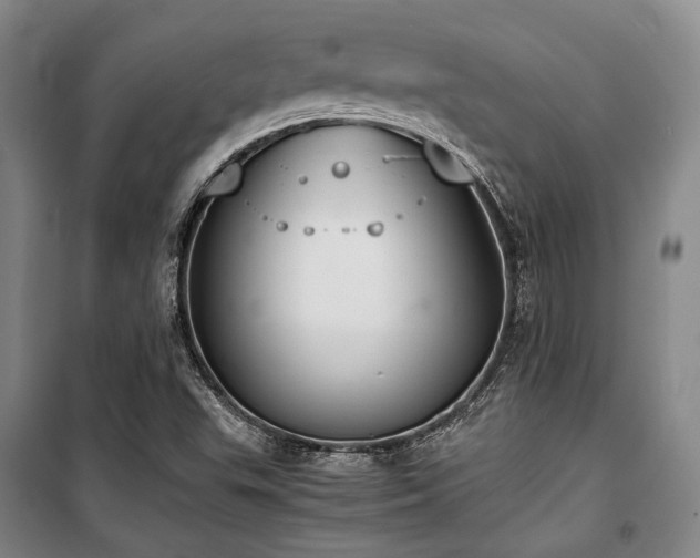 X0000100381503200806061206