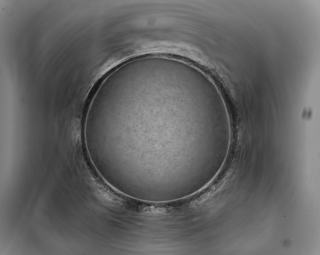 X0000100381505200806061206