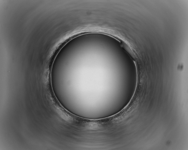 X0000100381507200806061206