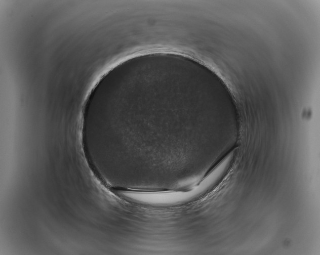 X0000100381508200806061206