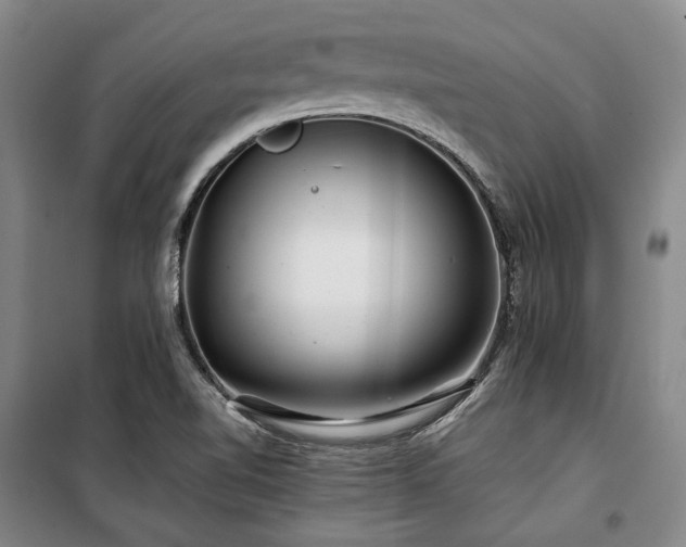 X0000100381510200806061206