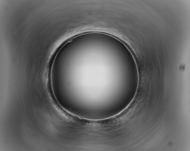 X0000100381511200806061206