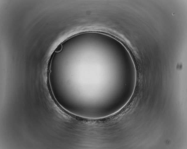 X0000100381512200806061206