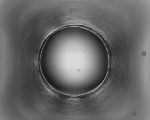 X0000100381513200806061206