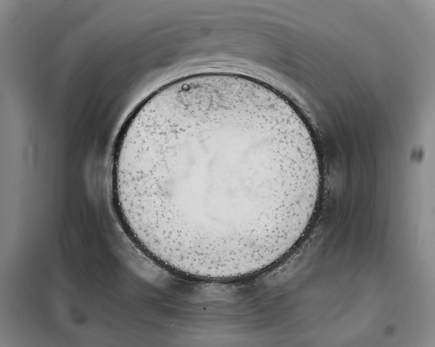 X0000100381514200806061206