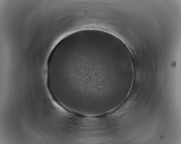 X0000100381515200806061206
