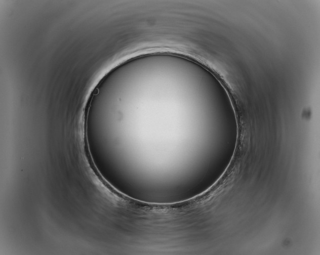 X0000100381516200806061206