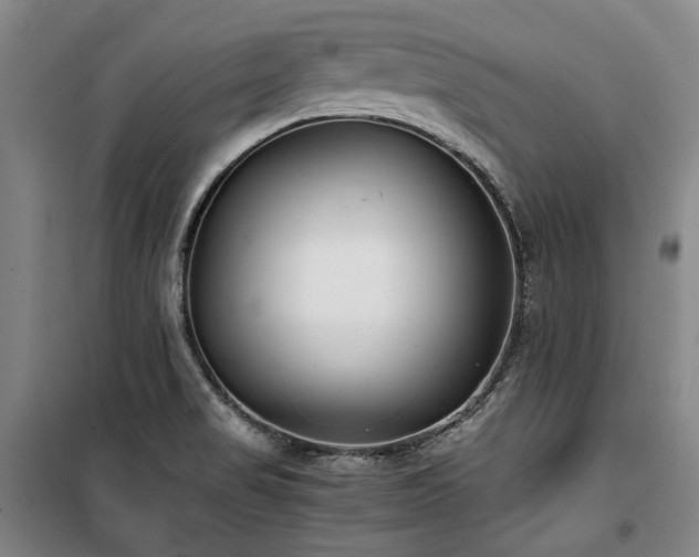 X0000100381517200806061206