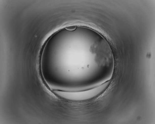 X0000100381518200806061206