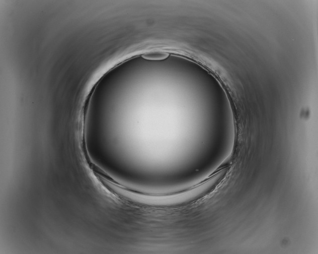 X0000100381520200806061206