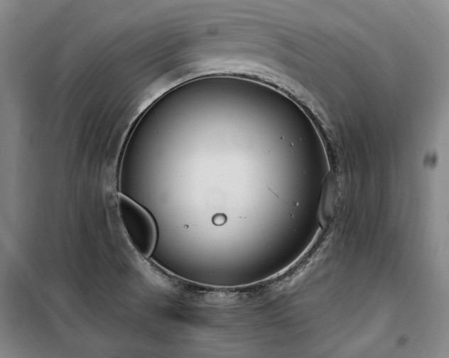 X0000100381521200806061206
