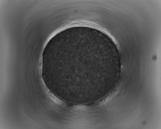 X0000100381522200806061206
