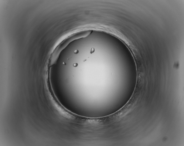 X0000100381523200806061206