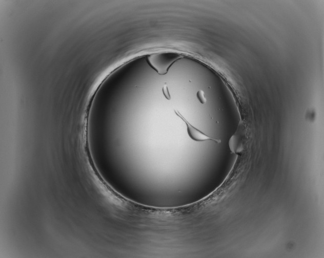 X0000100381524200806061206