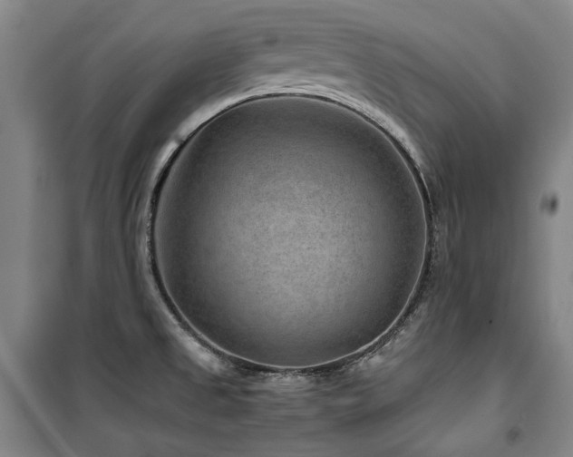 X0000100381525200806061206