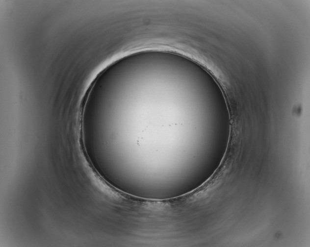 X0000100381526200806061206