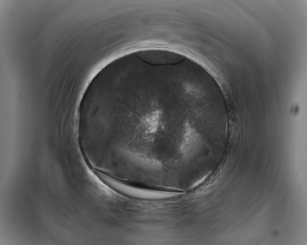 X0000100381527200806061206