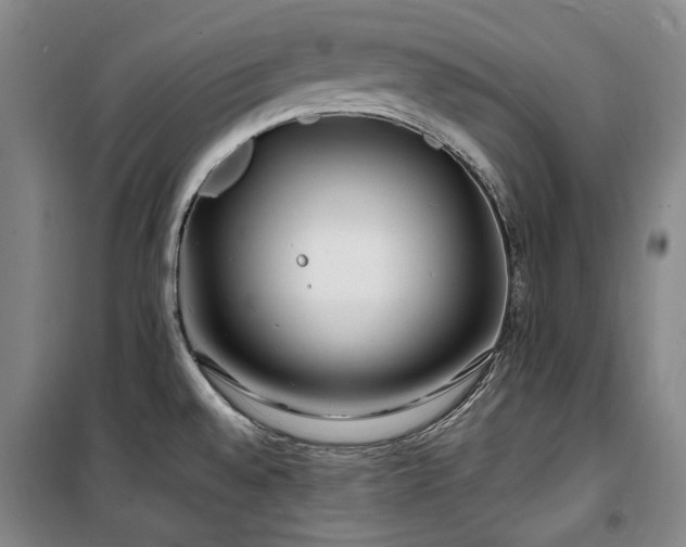 X0000100381528200806061207