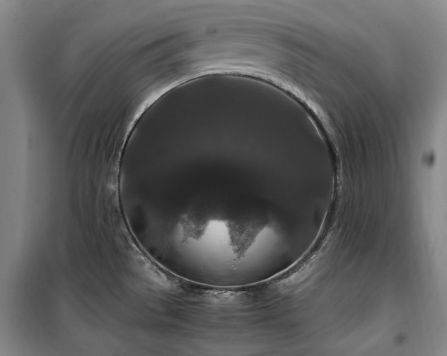 X0000100381529200806061207