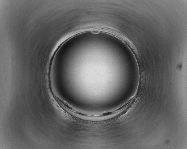 X0000100381530200806061207