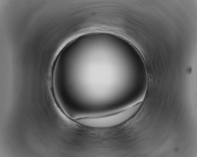 X0000100381531200806061207