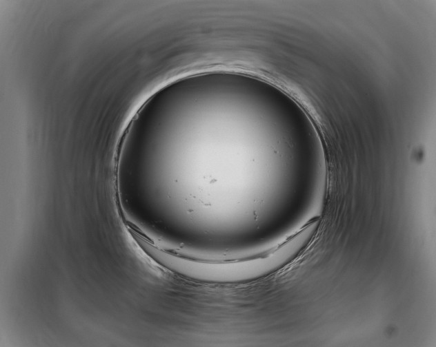 X0000100381532200806061207