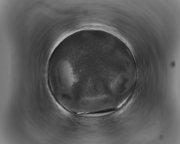 X0000100381533200806061207