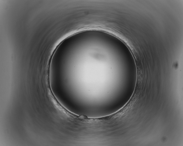 X0000100381534200806061207