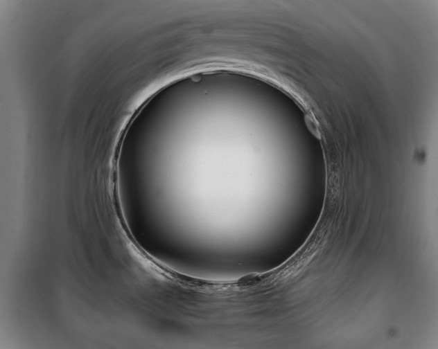 X0000100381535200806061207