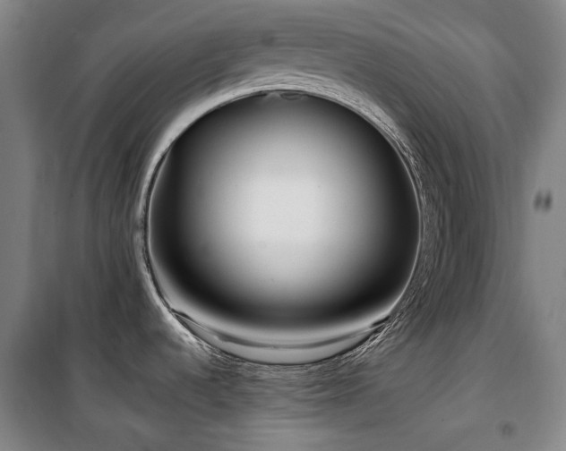 X0000100381536200806061207