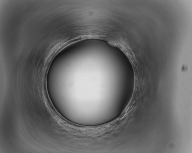 X0000100380001200806131110