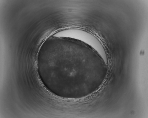 X0000100380002200806131110