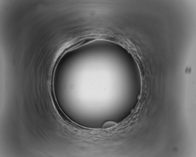 X0000100380003200806131110