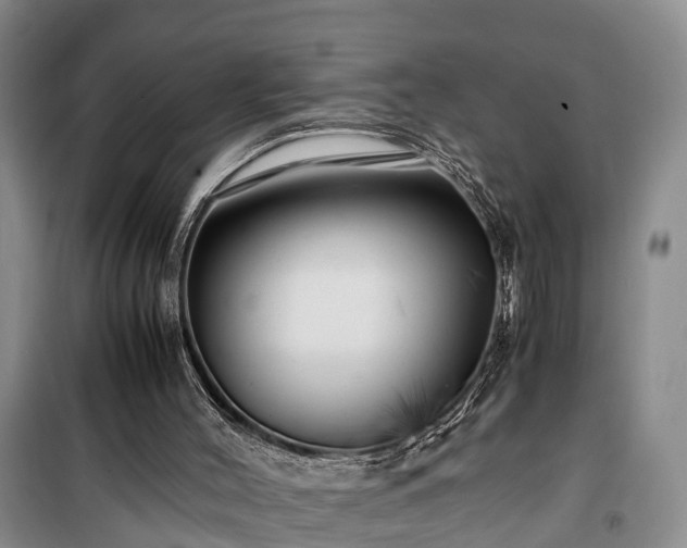 X0000100380004200806131110