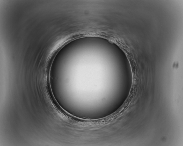 X0000100380005200806131110